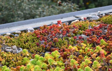 the cost of Berkeley Heath green roof installation