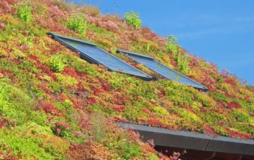 Berkeley Heath living roof systems