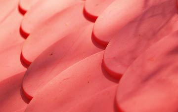 Berkeley Heath plastic roof costs