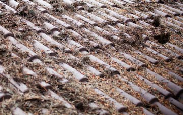 Berkeley Heath roof cleaning companies