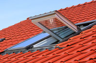 Berkeley Heath roof window